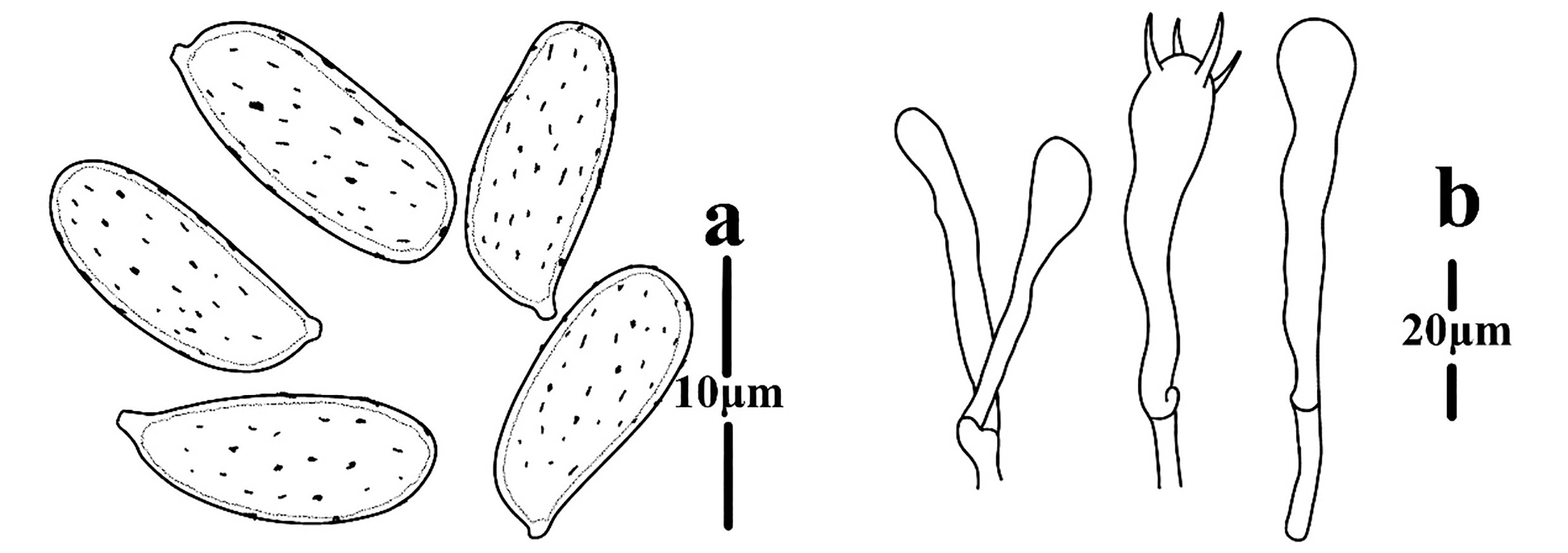 Figure 86